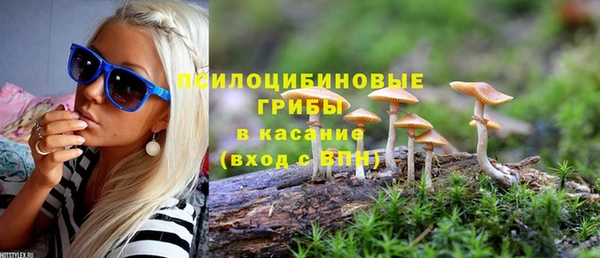 МДПВ Богородицк