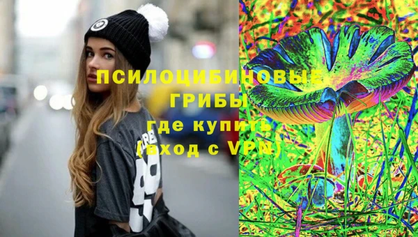 МДПВ Богородицк