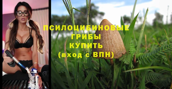 мет Богородск