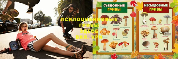 сатива Богданович
